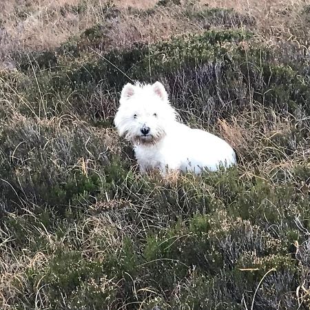 Mo-Dhachaidh B&B Poolewe Exteriör bild